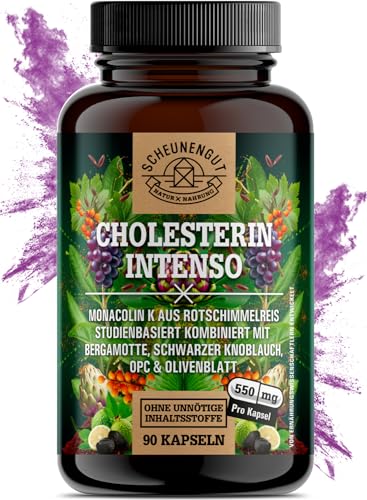 Scheunengut Cholesterin Senken