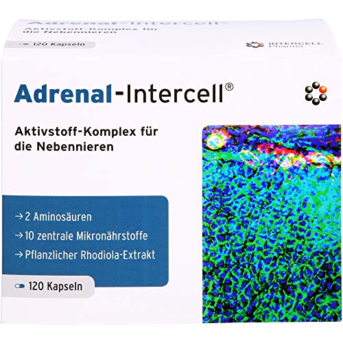 Adrenal-Intercell Nebennierenschwäche